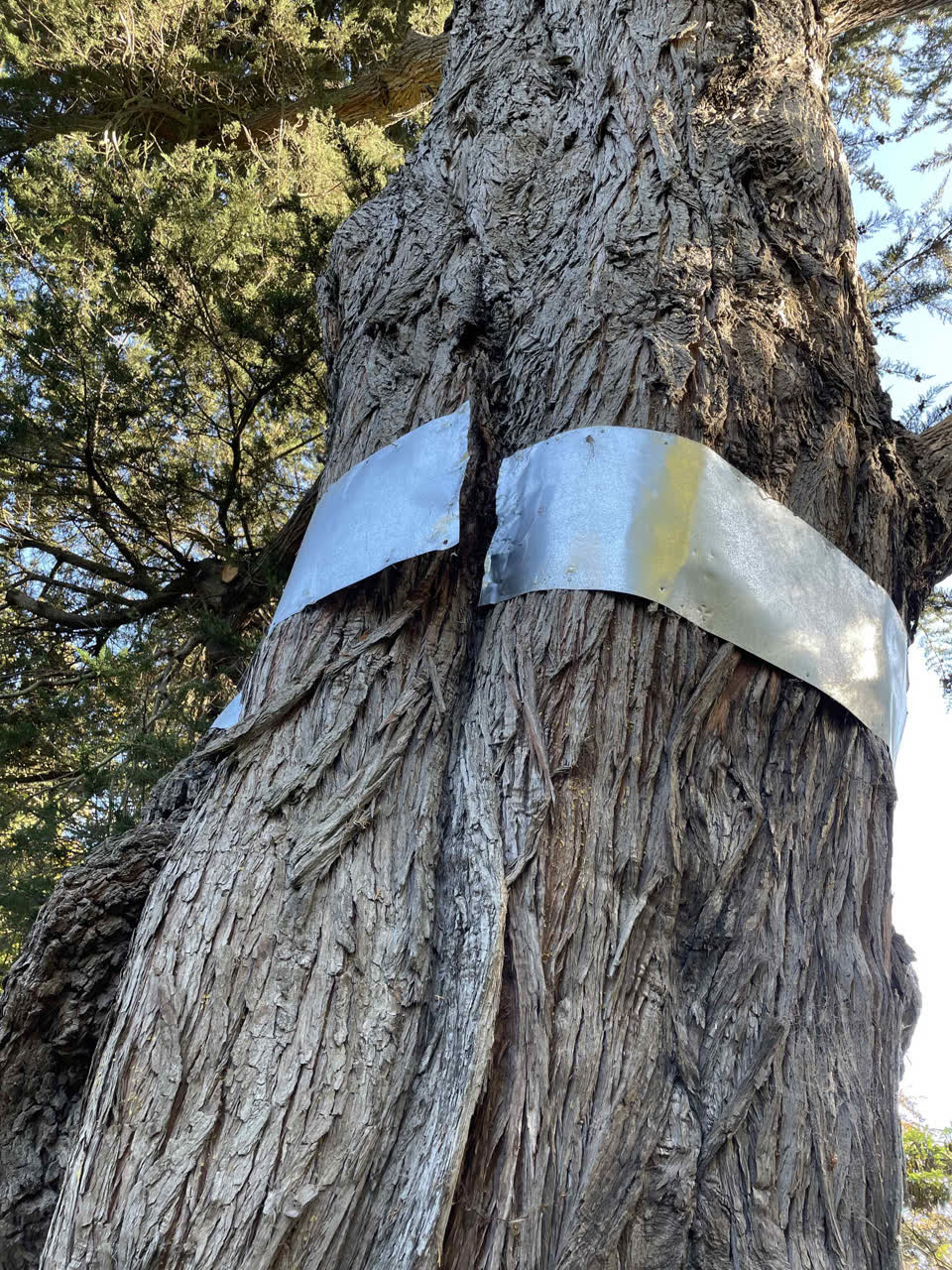 The photograph attached to this parks report