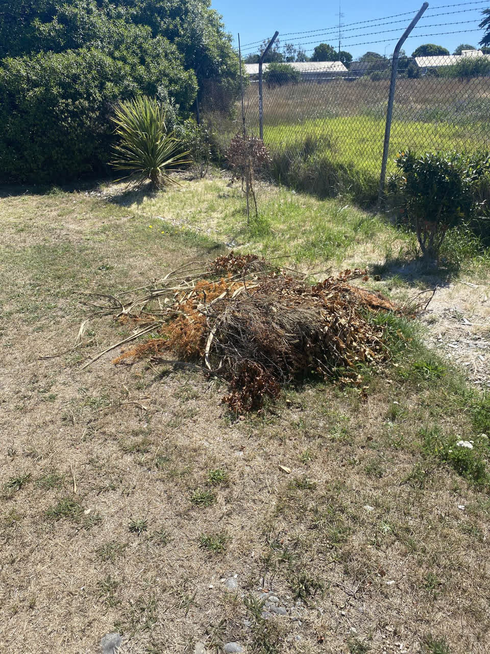The photograph attached to this parks report