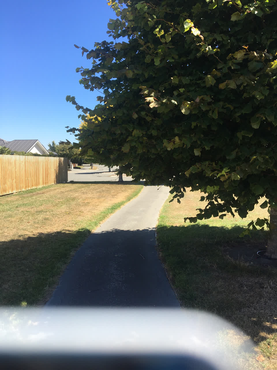 The photograph attached to this parks report