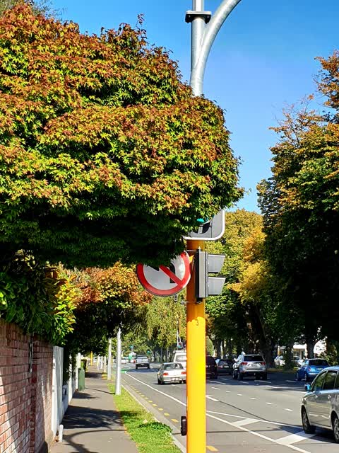 Roading/Streets, a report photo