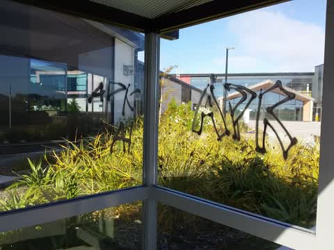 Graffiti, a report photo