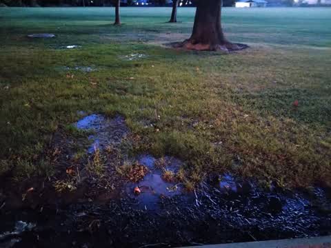 Water Leak, a report photo