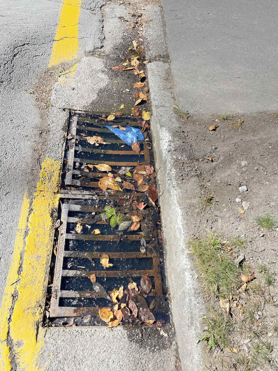 The photograph attached to this wastewater/stormwater report