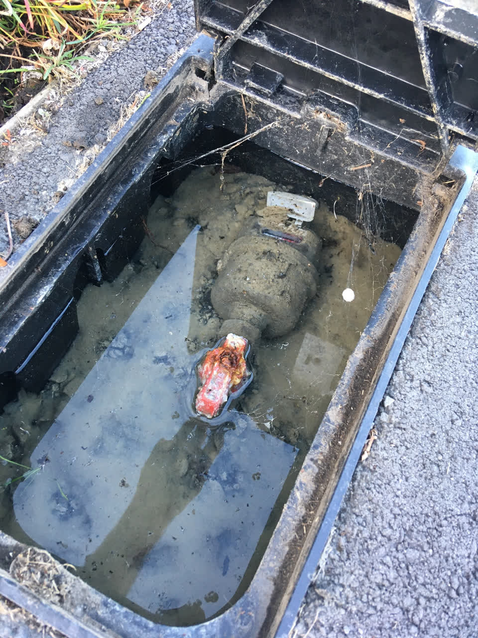 The photograph attached to this water supply report
