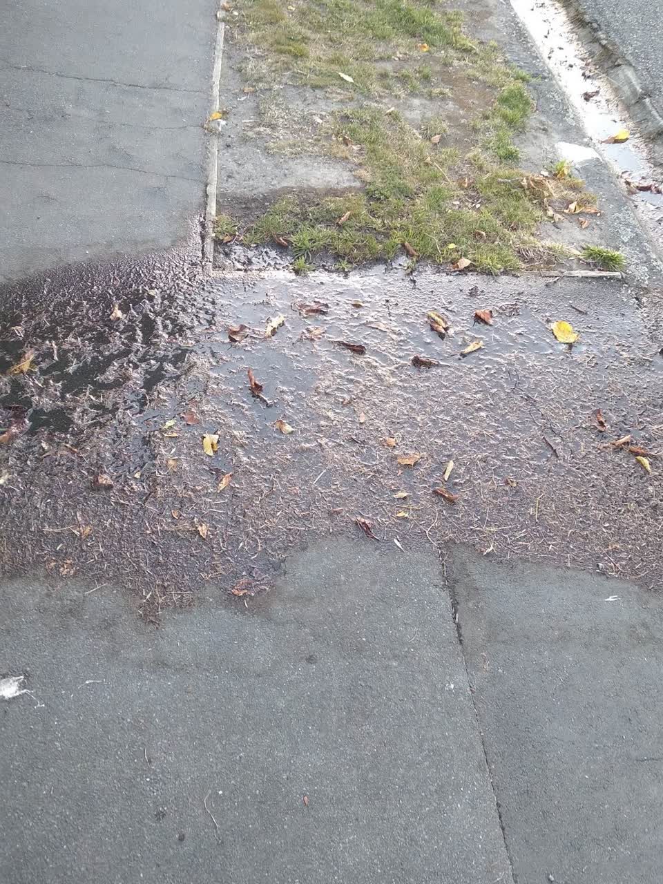 The photograph attached to this water leak report