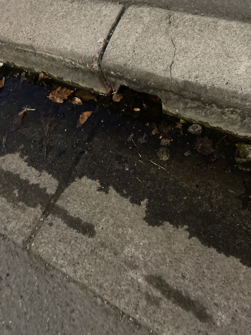 The photograph attached to this wastewater/stormwater report