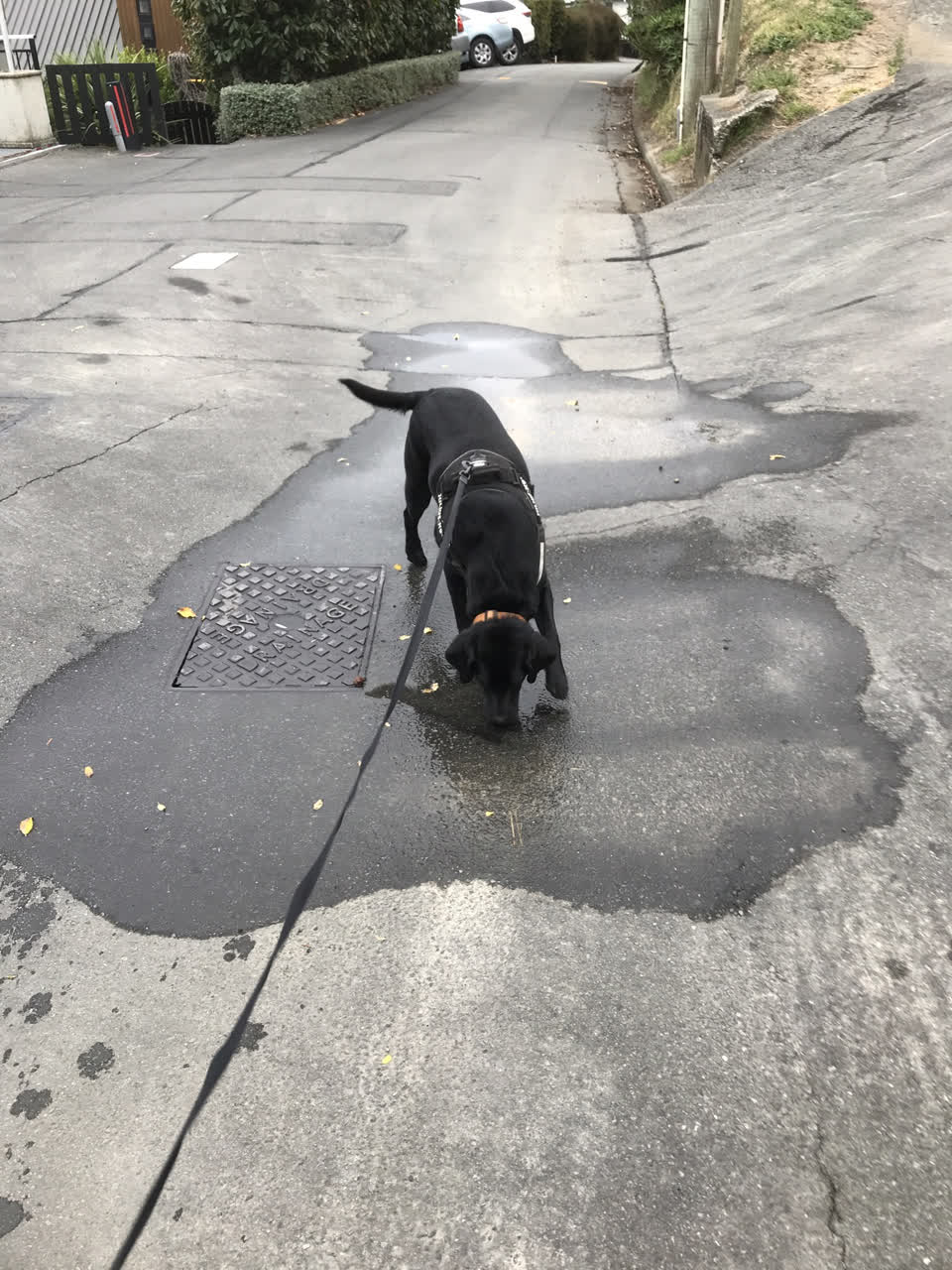 The photograph attached to this water leak report