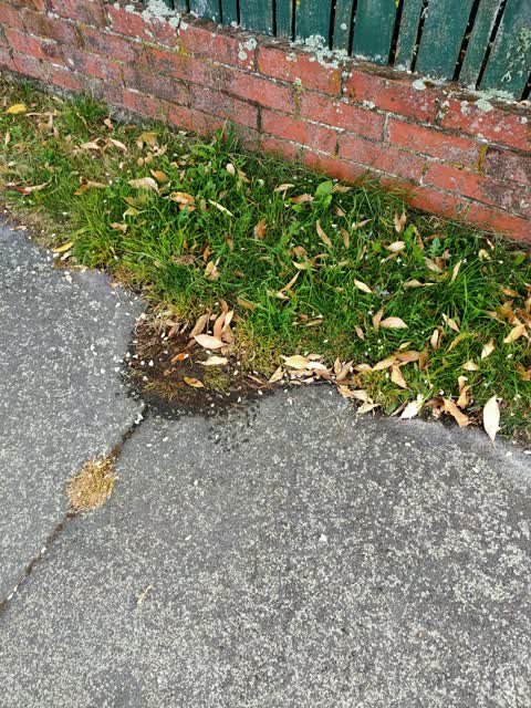 Water Leak, a report photo
