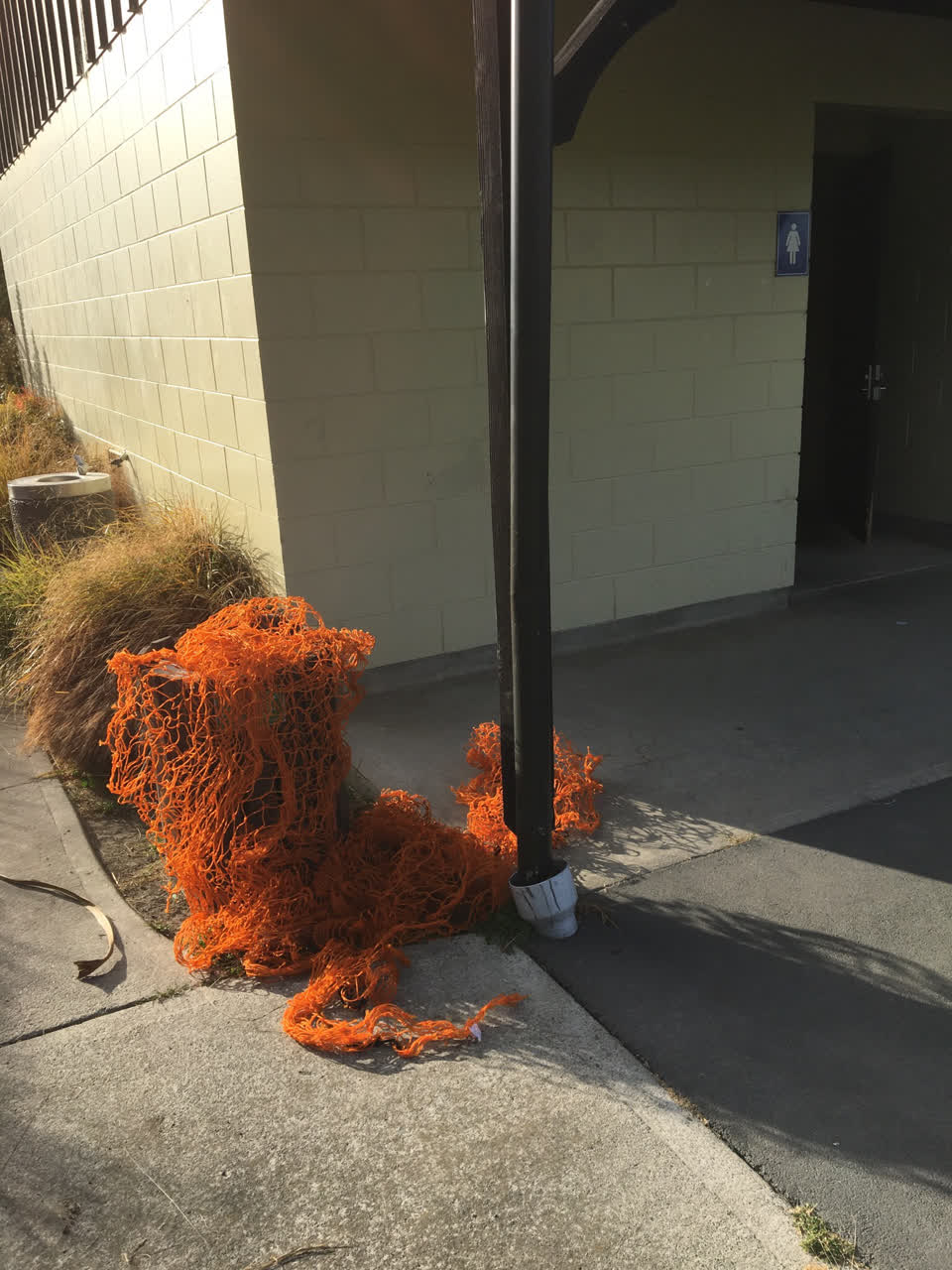 The photograph attached to this parks report