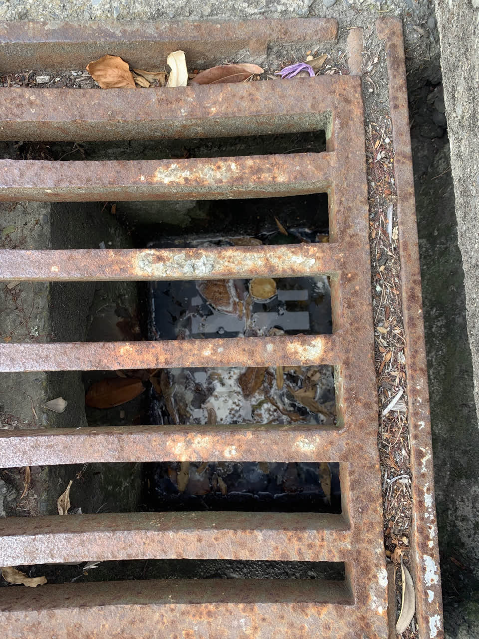 The photograph attached to this sewer odour report