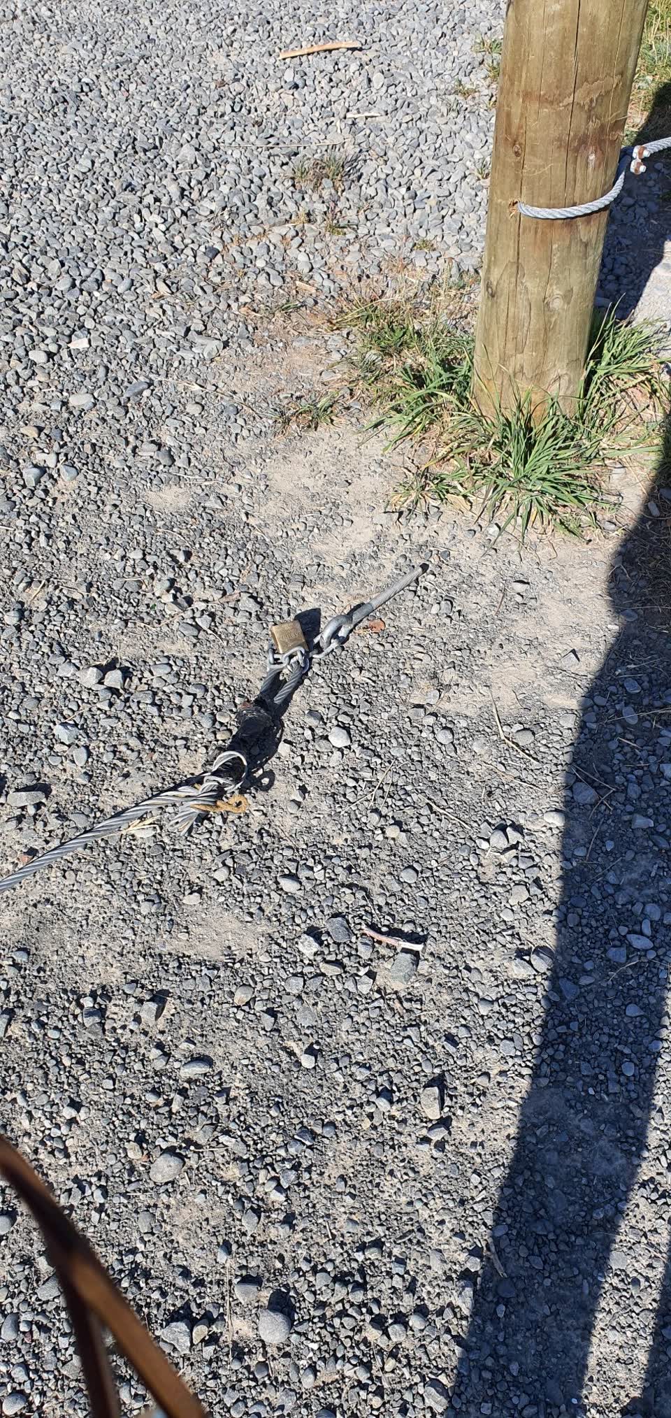 The photograph attached to this parks report