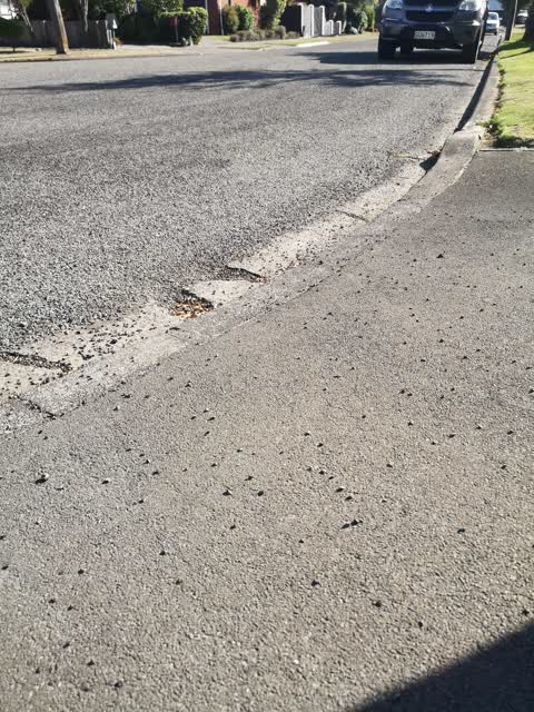 Roading/Streets, a report photo
