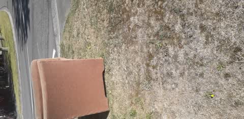 Rubbish/Recycling, a report photo