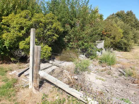 Parks, a report photo