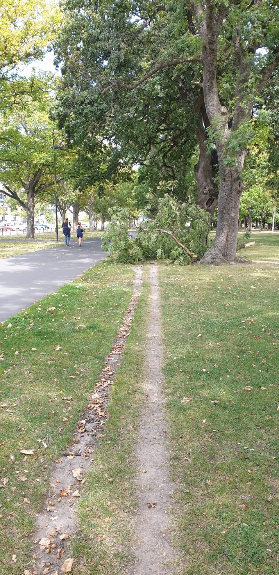 The photograph attached to this parks report
