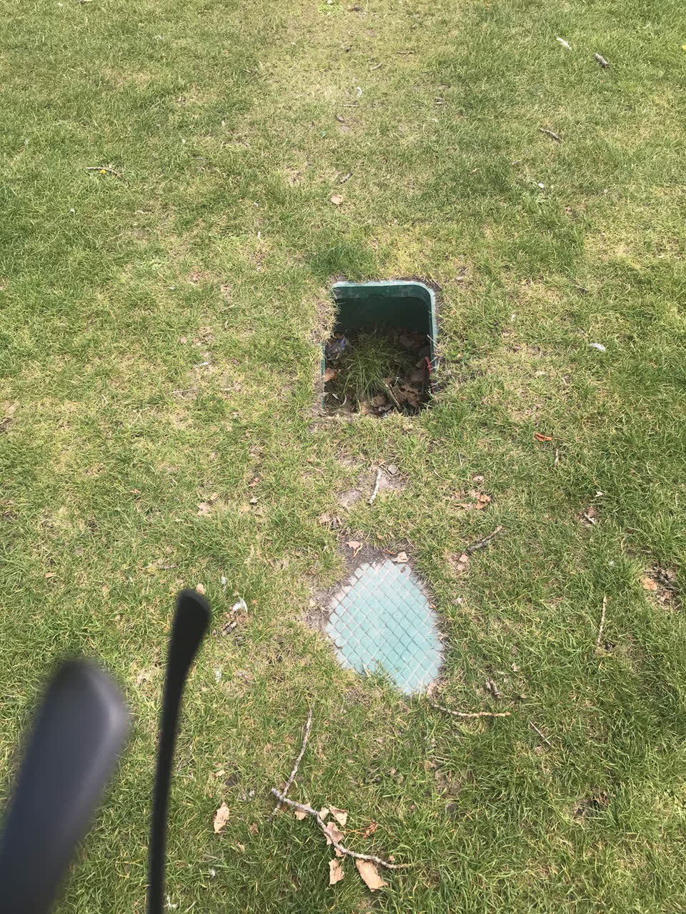 The photograph attached to this parks report