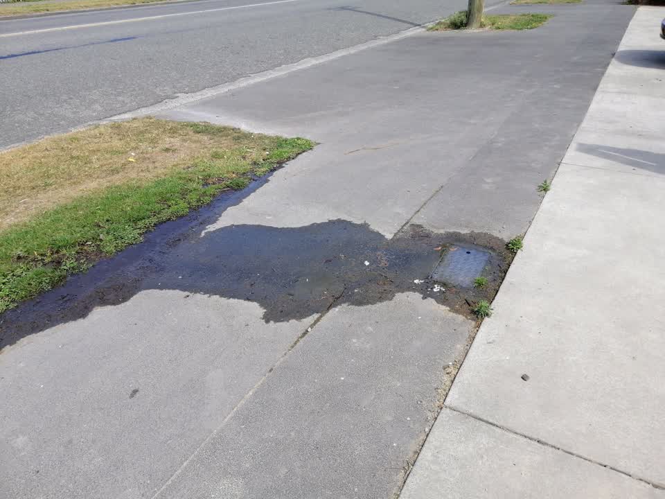 The photograph attached to this water leak report