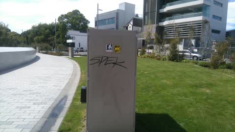 Graffiti, a report photo
