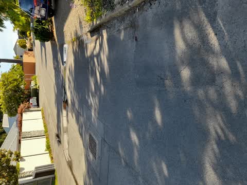 Water Leak, a report photo