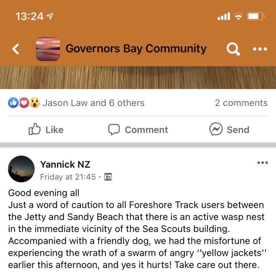 The photograph attached to this parks report
