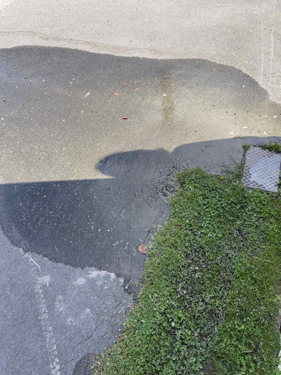 The photograph attached to this water leak report