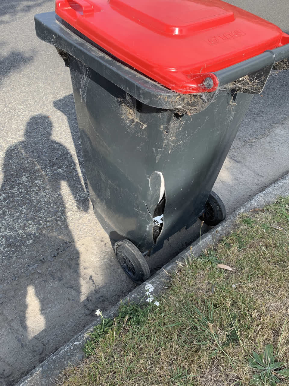The photograph attached to this rubbish/recycling report