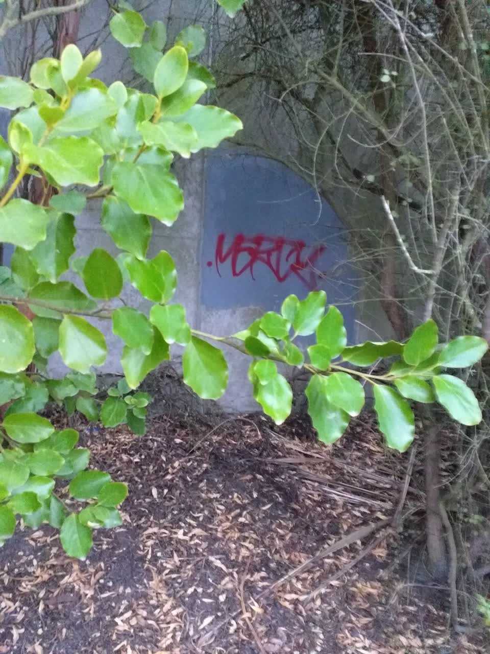 The photograph attached to this graffiti report