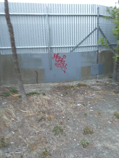 Graffiti, a report photo