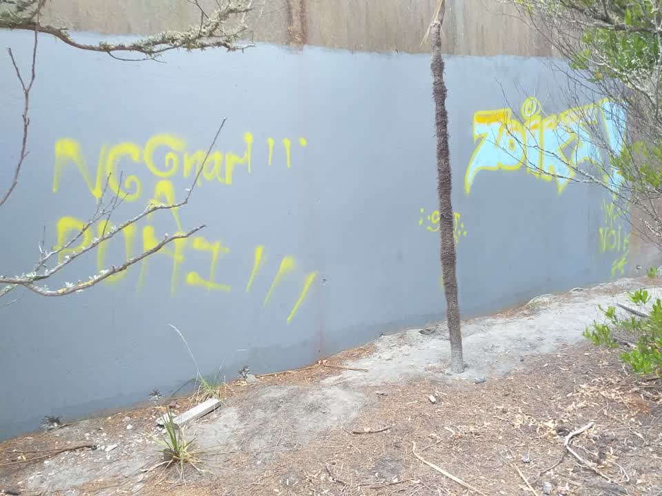 The photograph attached to this graffiti report