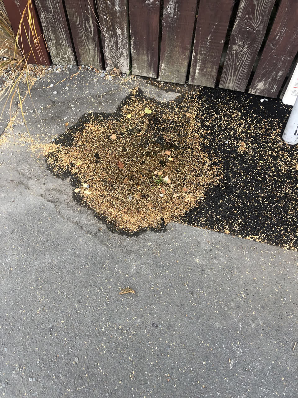 The photograph attached to this water leak report