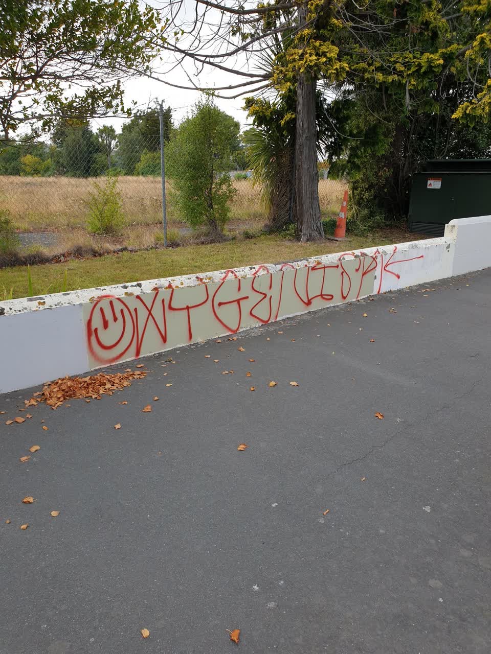The photograph attached to this graffiti report