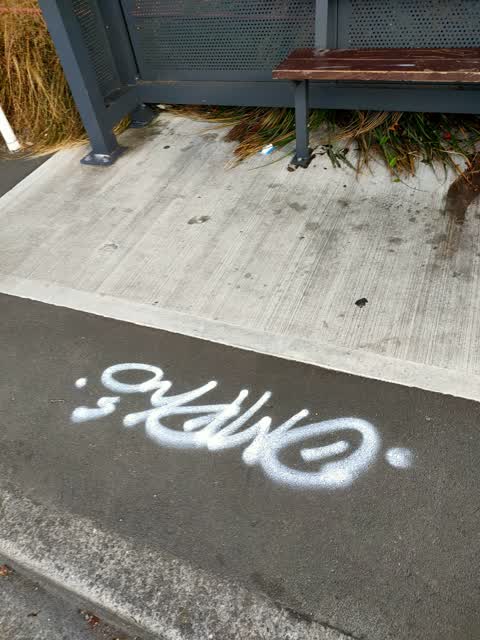 Graffiti, a report photo