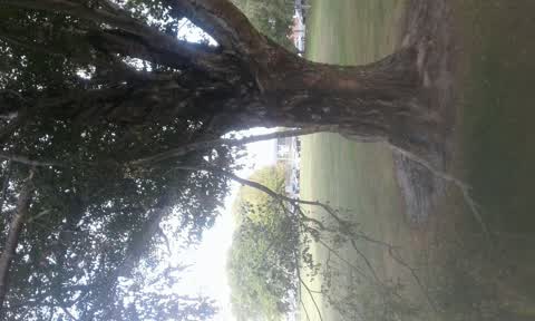 Parks, a report photo