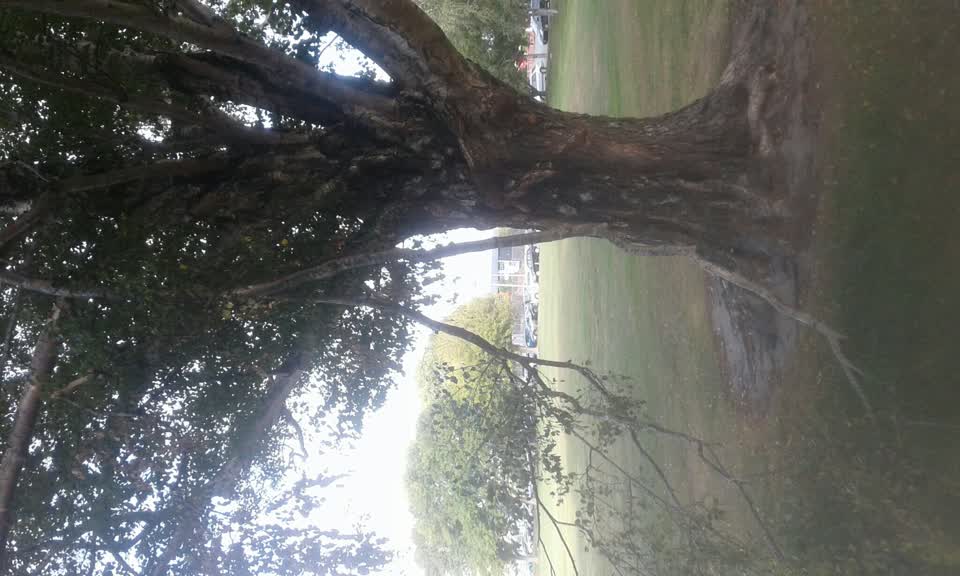 The photograph attached to this parks report