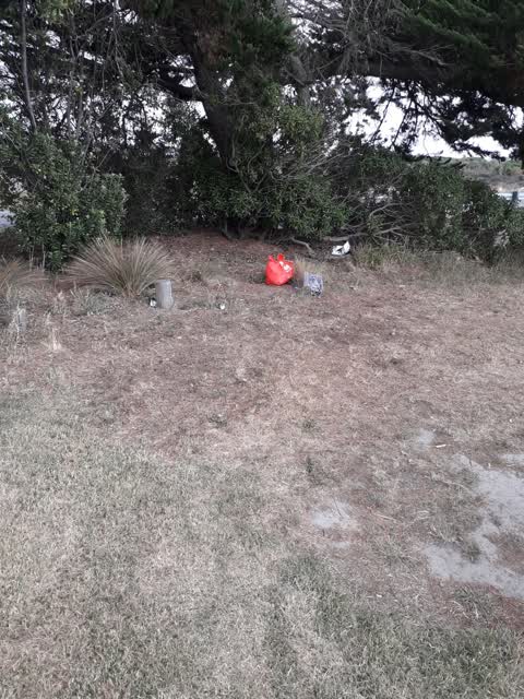 Rubbish/Recycling, a report photo