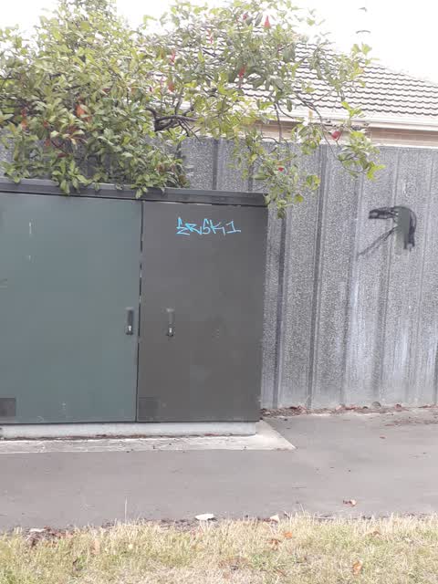 Graffiti — a report photo