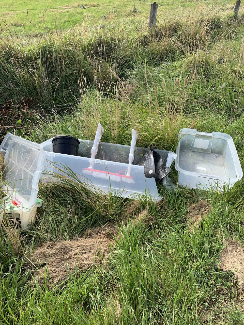 The photograph attached to this rubbish/recycling report