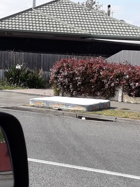 Rubbish/Recycling, a report photo