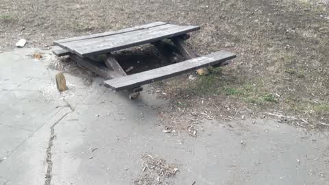 Parks — a report photo