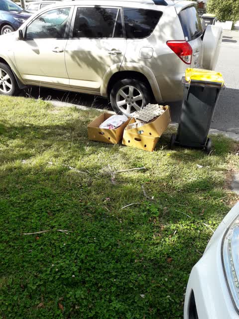 Rubbish/Recycling, a report photo