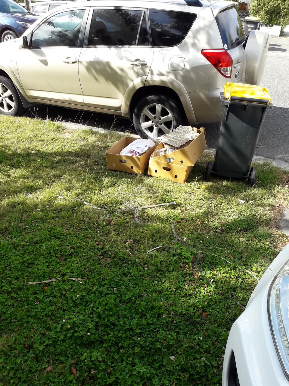 The photograph attached to this rubbish/recycling report