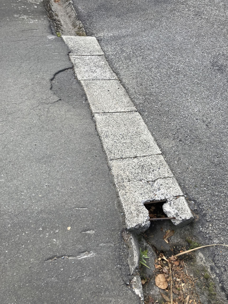 The photograph attached to this roading/streets report