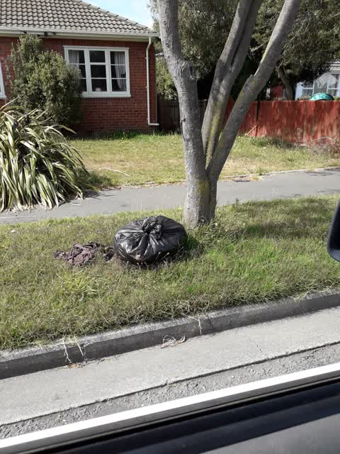 Rubbish/Recycling, a report photo