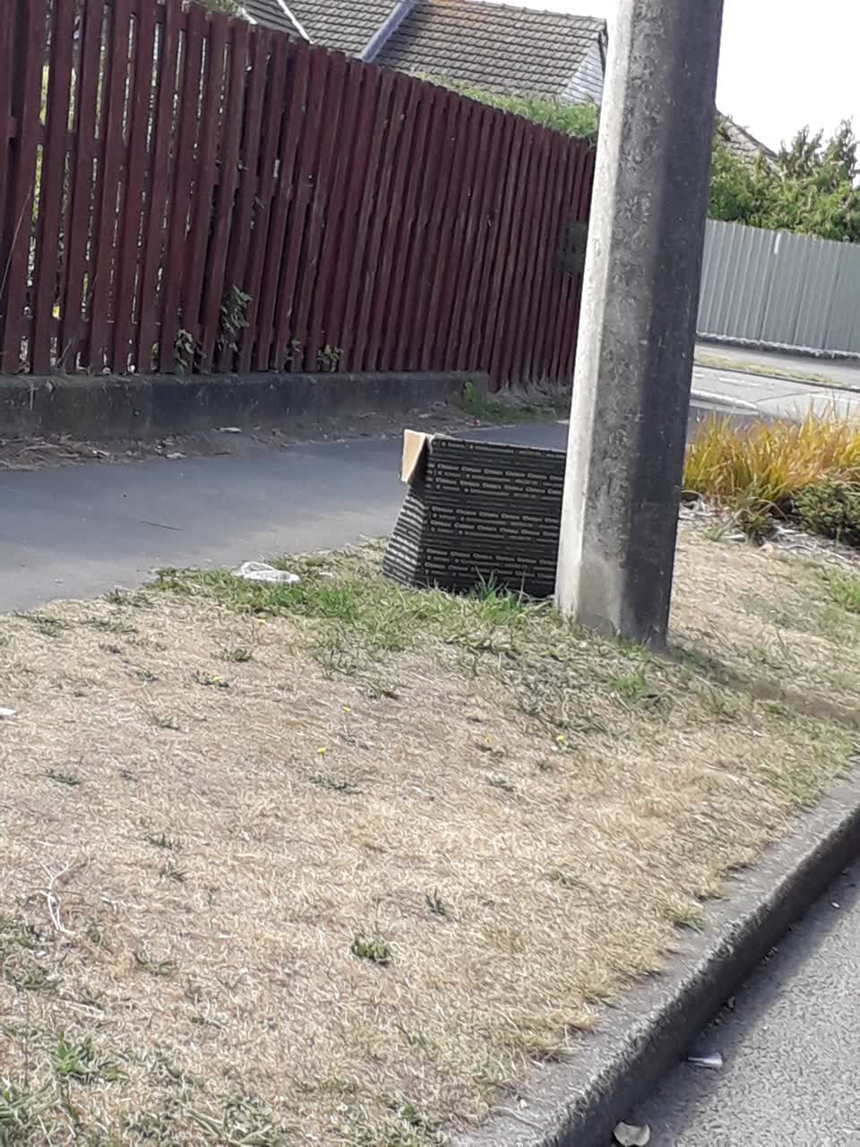 The photograph attached to this rubbish/recycling report