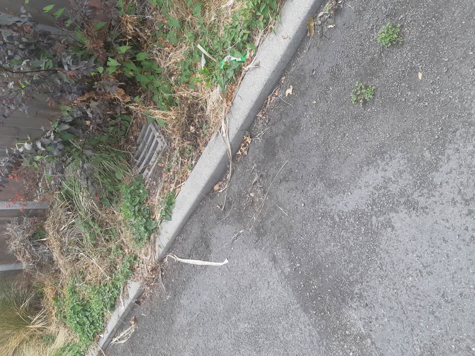 The photograph attached to this flooding report