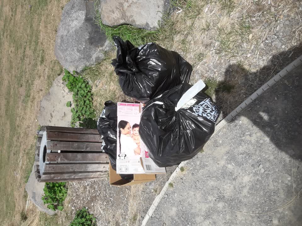 The photograph attached to this parks report