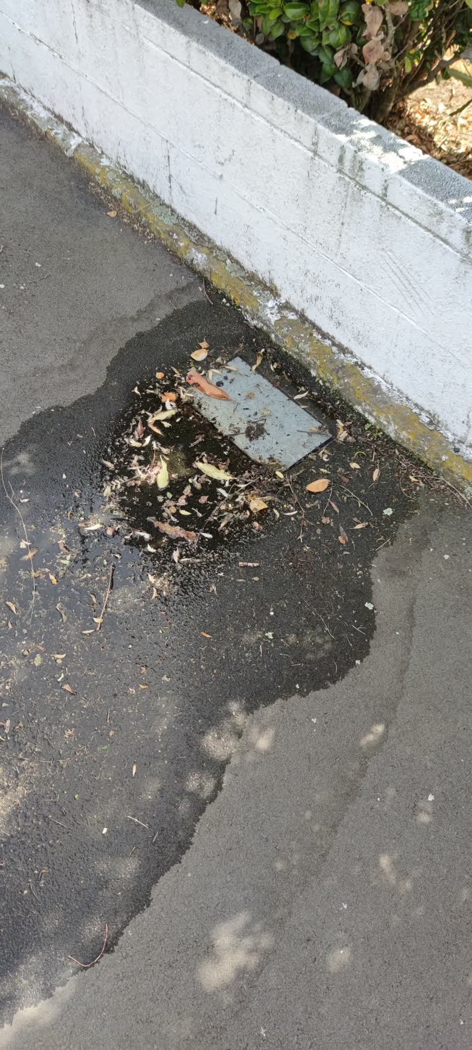 The photograph attached to this water supply report
