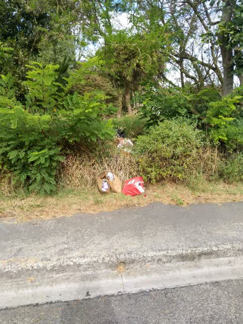Rubbish/Recycling, a report photo