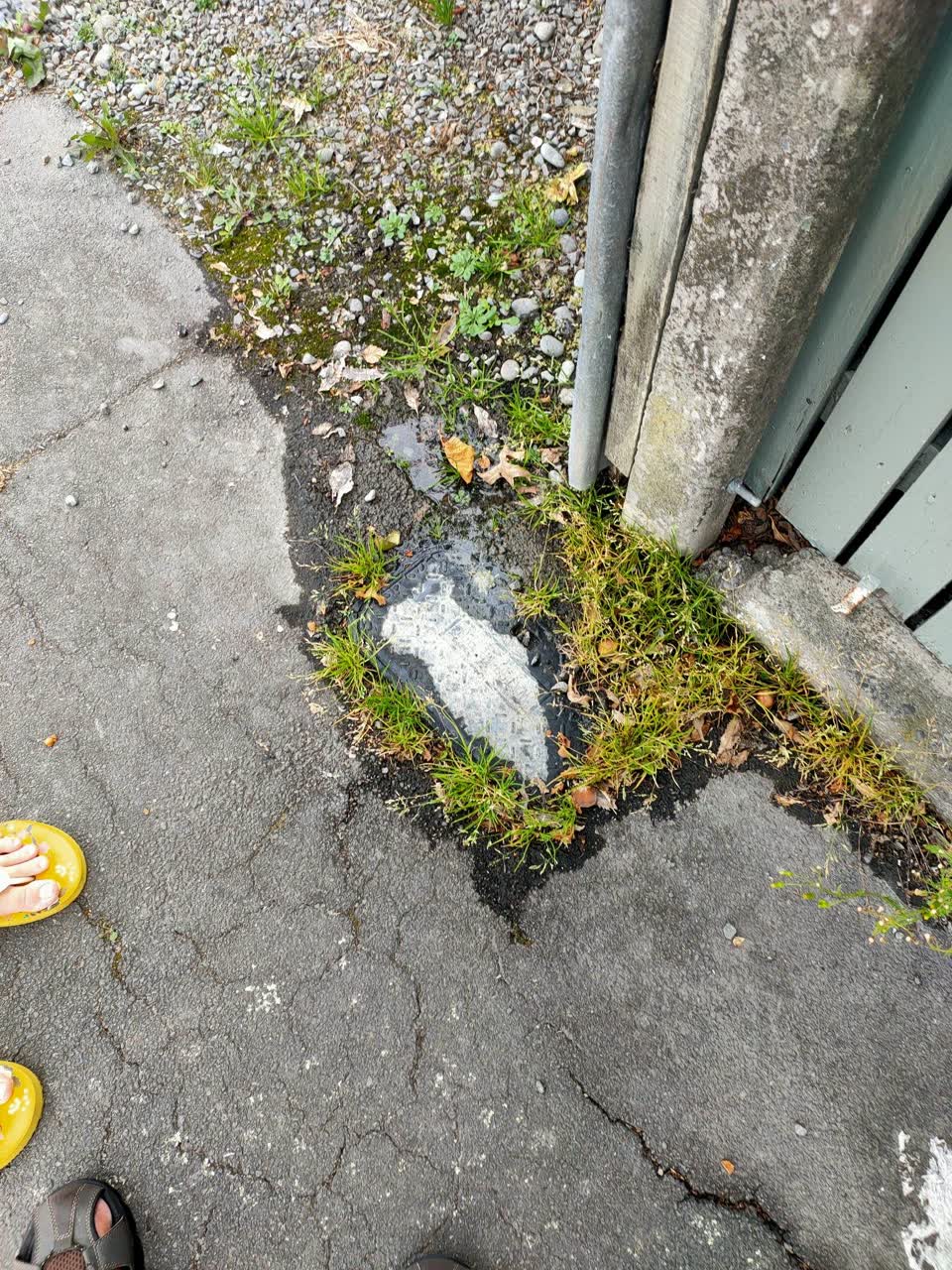 The photograph attached to this water leak report