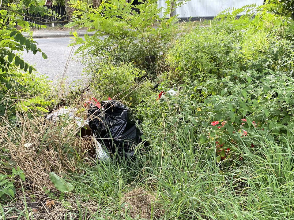 The photograph attached to this rubbish/recycling report